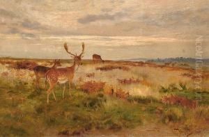 Deer In A Landscape.