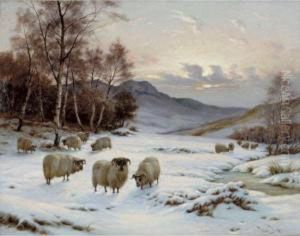 Winter Pasture Winter Pasture
