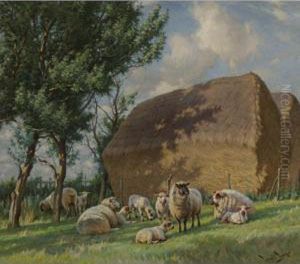 Sheep In The Shade by Wright Barker