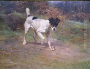 Smooth Fox Terrier At The Edge Of A Wood by Wright Barker