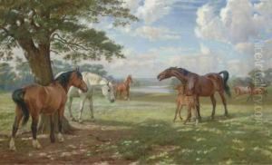 Mares With A Foal In Parkland