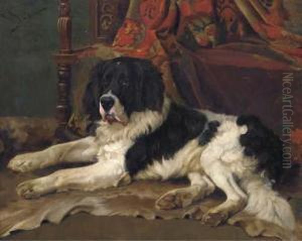 A Landseer Newfoundland In An Interior - view 1