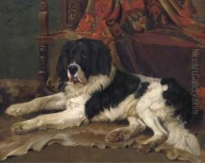 A Landseer Newfoundland In An Interior A Landseer Newfoundland In An Interior
