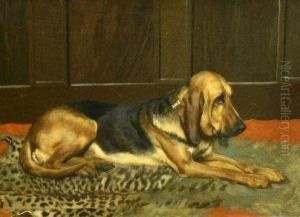 Bloodhound In An Interior by Wright Barker