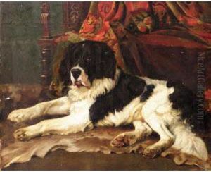 The St Bernard by Wright Barker
