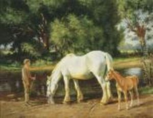 A Mare And Her Foal At A Ford A Mare And Her Foal At A Ford