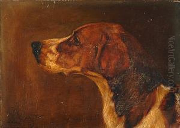 Guardsman - A Foxhound - view 1