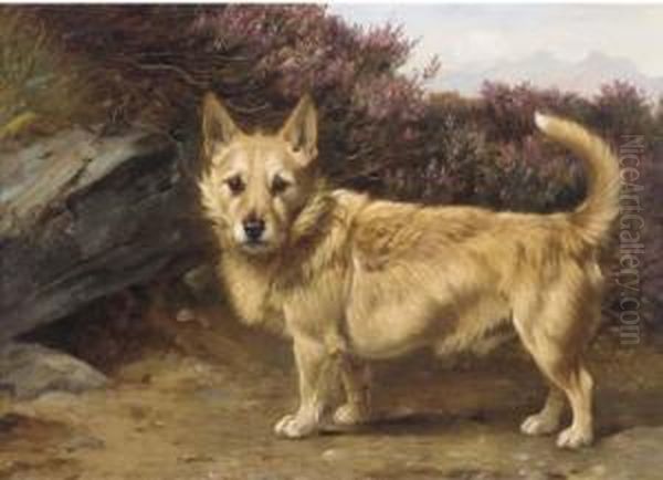 A Terrier At A Rabbit Hole - view 1