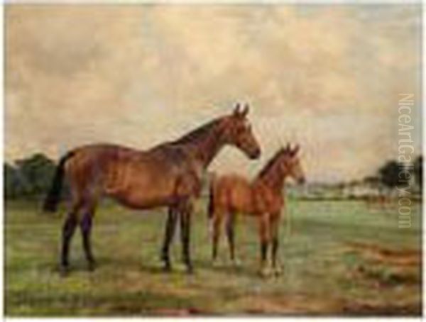 Beechnut Ii - view 1