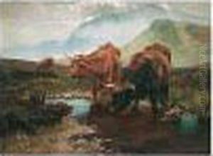 Cattle Watering