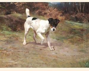 A Smooth Fox Terrier At The Edge Of A Wood by Wright Barker