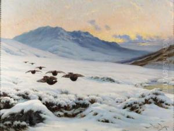 Grouse In Flight Over A Moorland In Winter - view 1