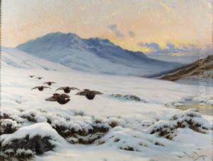 Grouse In Flight Over A Moorland In Winter