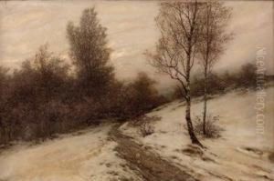 Winterlandschaft Mit Birken Am Wegrand by Philip Barlag