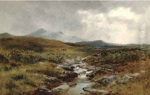 A Welsh moorland stream by David Bates