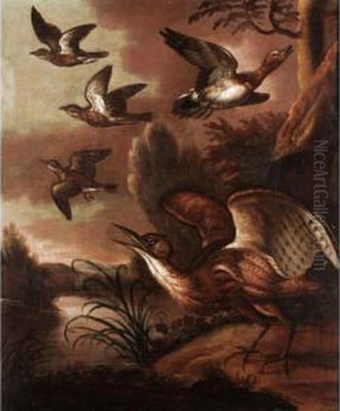 Waterfowl In A Landscape - view 1