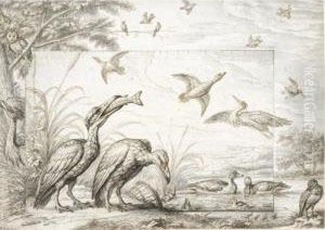 Waterfowl By A Pond