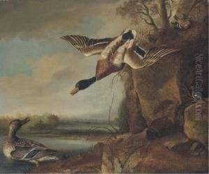 Mallard And Chaffinches In A River Landscape