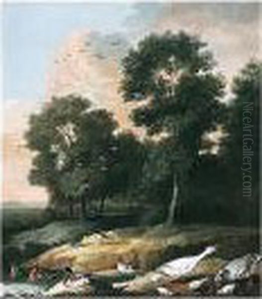 An Assembly Of River Birds - view 1