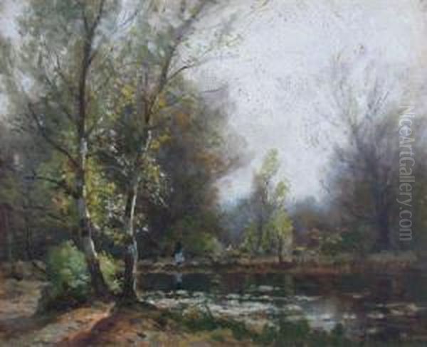 The Pond, Burnham Beeches - view 1