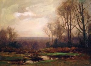 A Pond Beneath Trees At Dusk