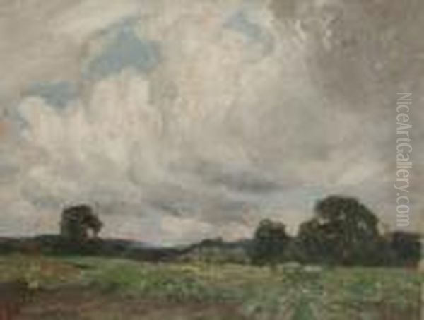 Country Landscape - view 1