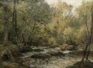 A River Running Through Trees