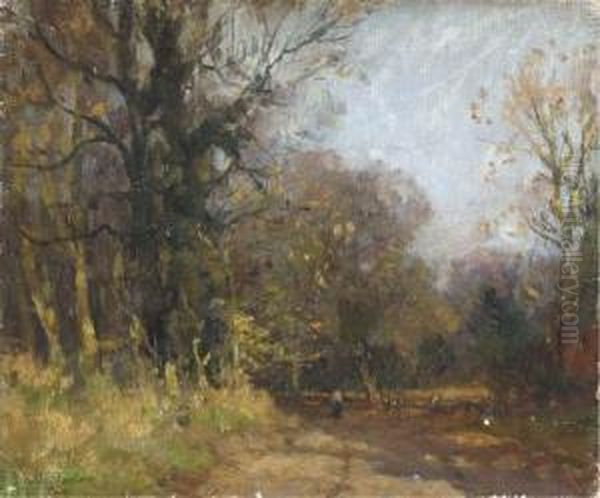 A Walk In The Woods - view 1