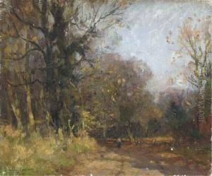 A Walk In The Woods by John Noble Barlow