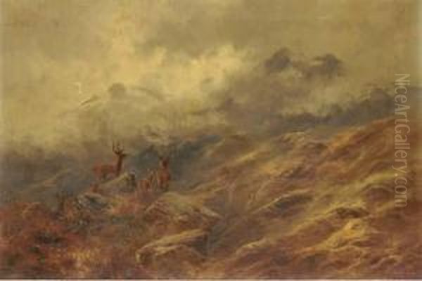Lochnagar From Behind Balmoral Castle - view 1