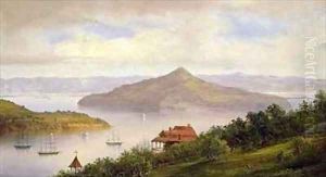 Angel Island seen from Sausalito