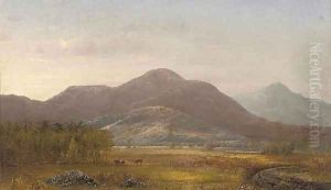 Finney Peak, the Catskill Mountains,
