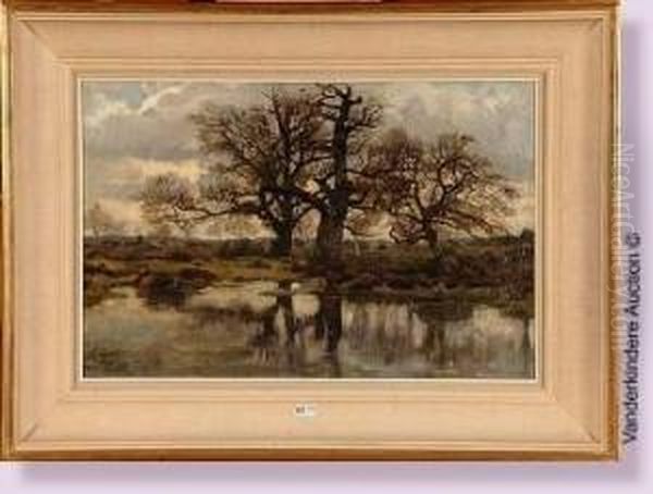 Paysage D'automne - view 1