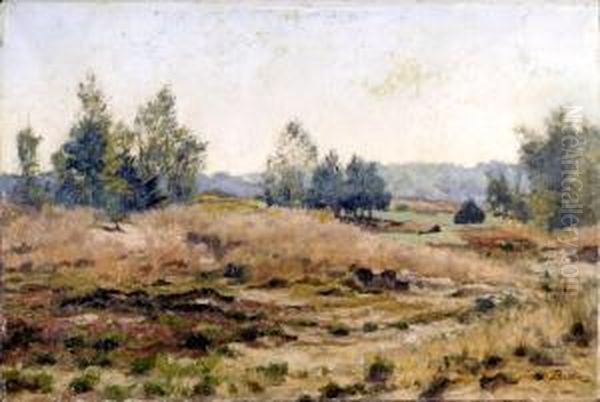 Paysage - view 1