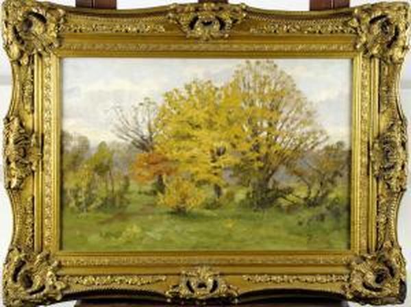 Sous-bois - view 1