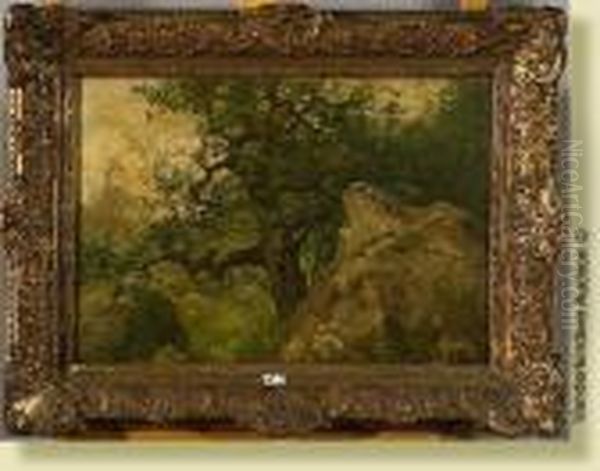 Coin De Foret Au Rocher - view 1