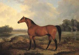 A bay stallion in a river landscape 1827