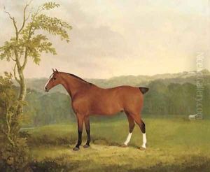 A bay carriage horse by James Barenger