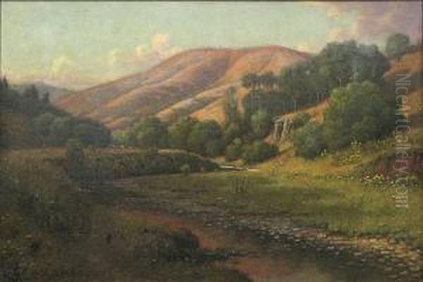 Beyond Muir Woods - view 1