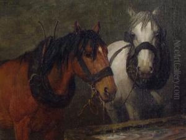 At The Trough. - view 1