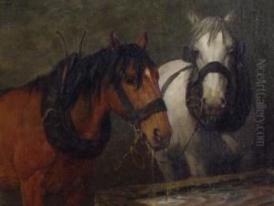 At The Trough. by William Barr