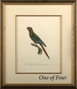 Parrots by Jacques Barraband