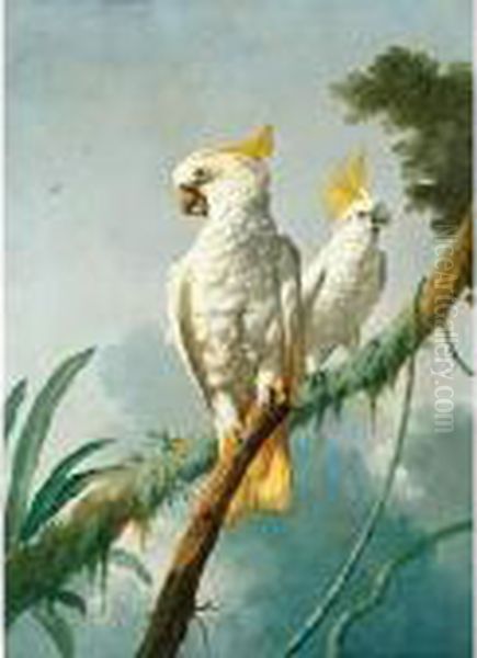 A Pair Of Sulphur-crested Cockatoos - view 1