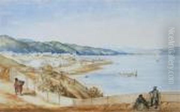 Wellington - view 1