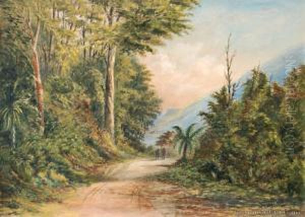 Wairarapa Bush Scene - view 1