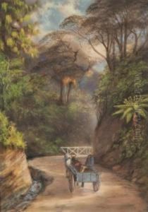 Horse And Cart In Thebush