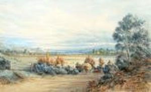 On The Waimea Road, Nelson With Views Ofrichmond And Stoke by Charles Decimus Barraud