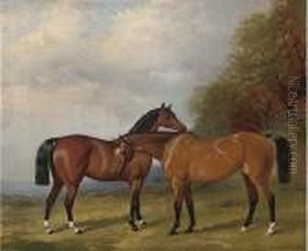 Two Bay Hunters In An Extensive Landscape - view 1