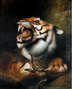 A Tiger With Its Kill by Henry Barraud