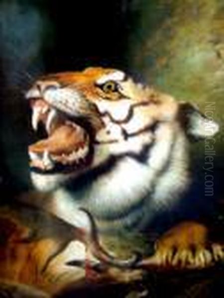 Tiger With It's Kill - view 1